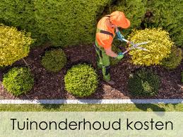 wat kost tuinonderhoud per jaar