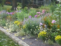 border tuin aanleggen