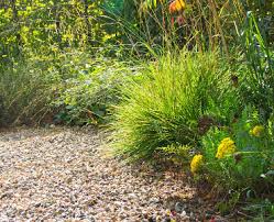 siergras tuin aanleggen