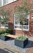 low budget tuin