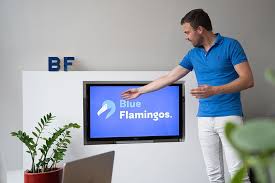 seo specialist