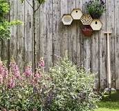 intratuin tuin ontwerpen