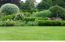tuinonderhoud limburg