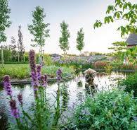 hovenier natuurlijke tuin