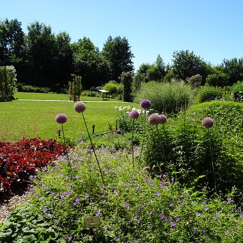 tuinaanleg friesland