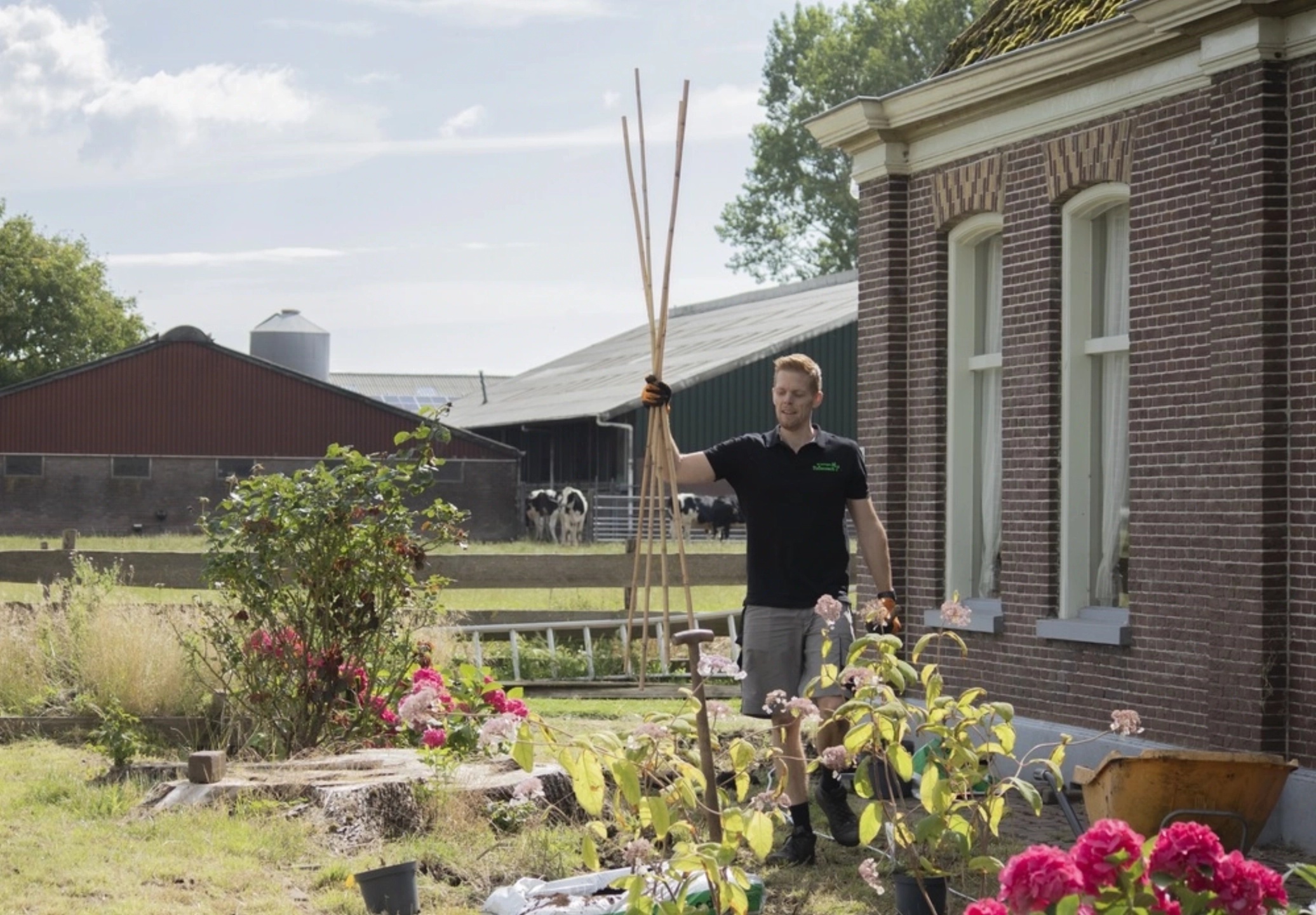 tuinonderhoud gezocht