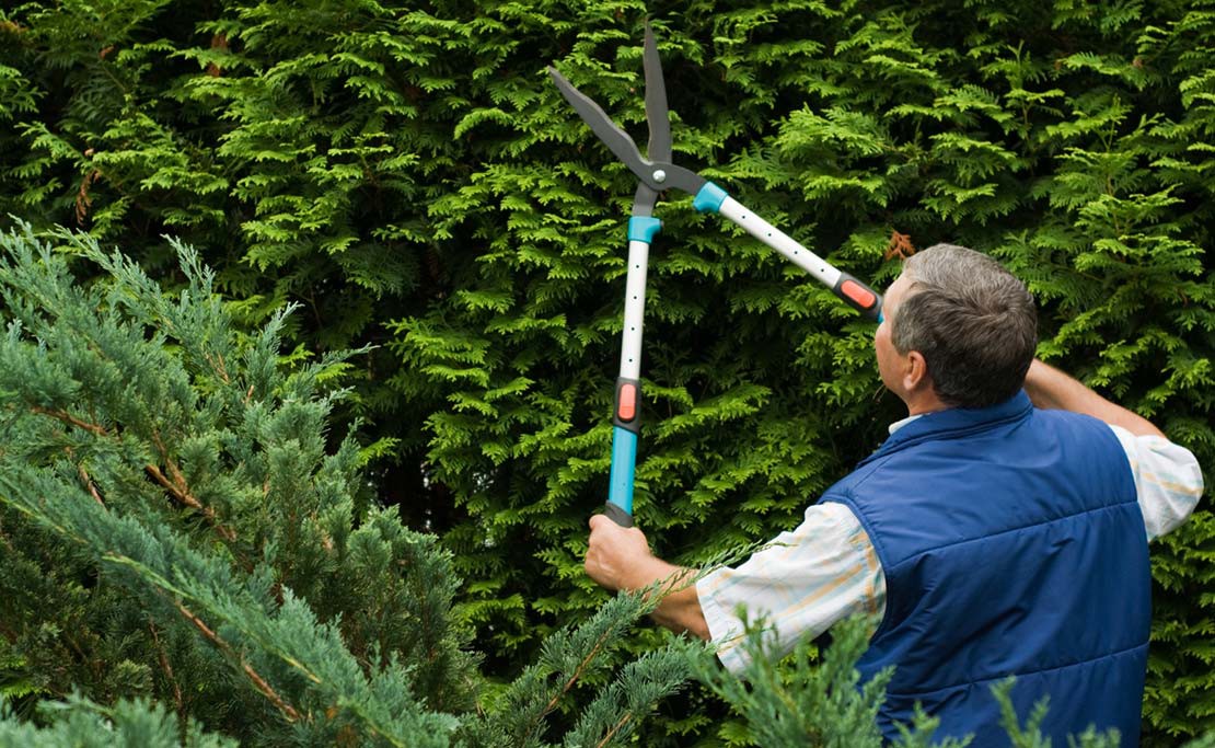 gemiddelde kosten tuinman