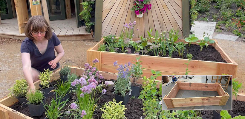 eigen moestuin ontwerpen en aanleggen