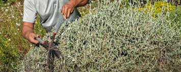 tuinaanleg eindhoven