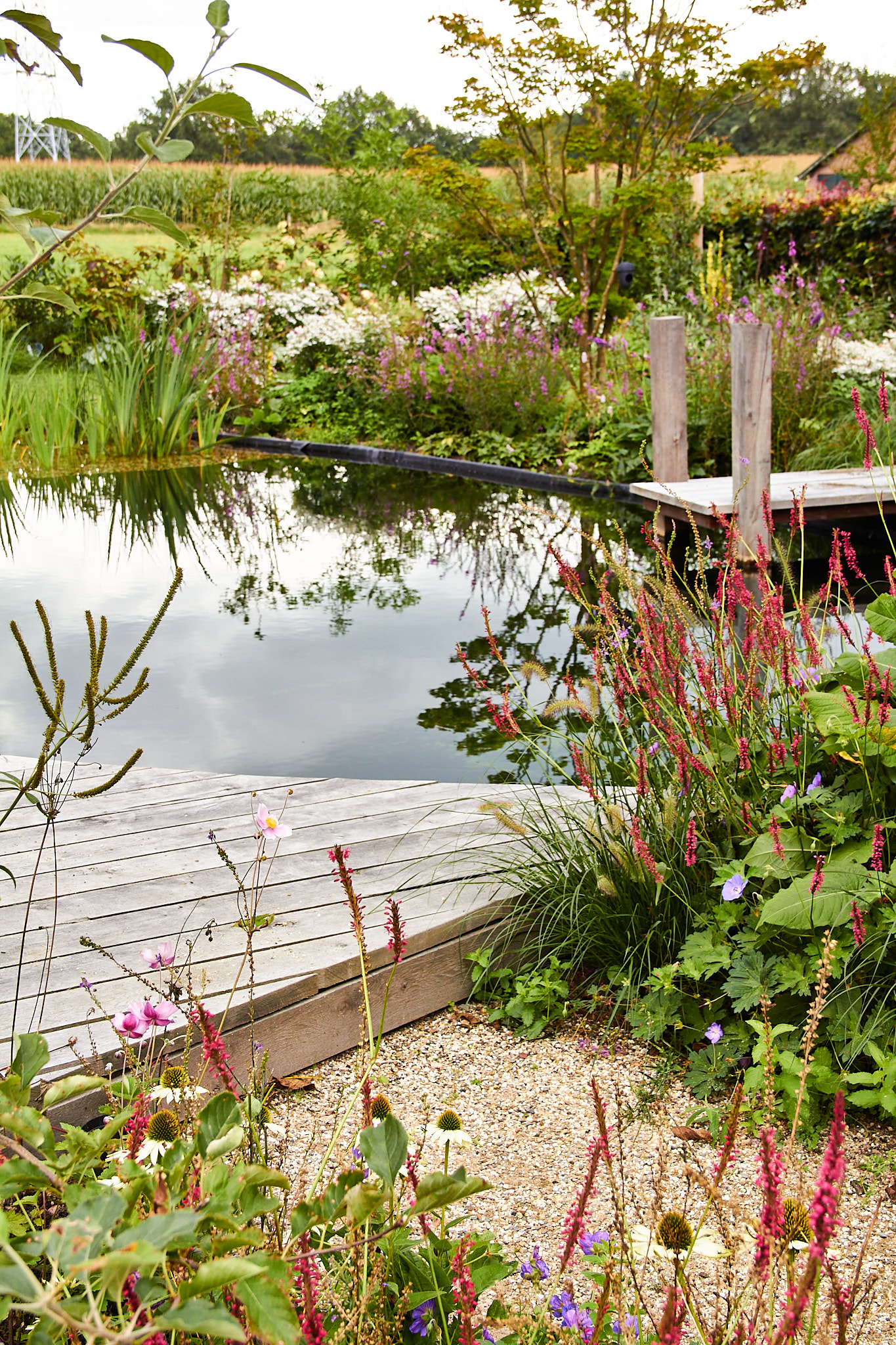 aanleg natuurlijke tuin