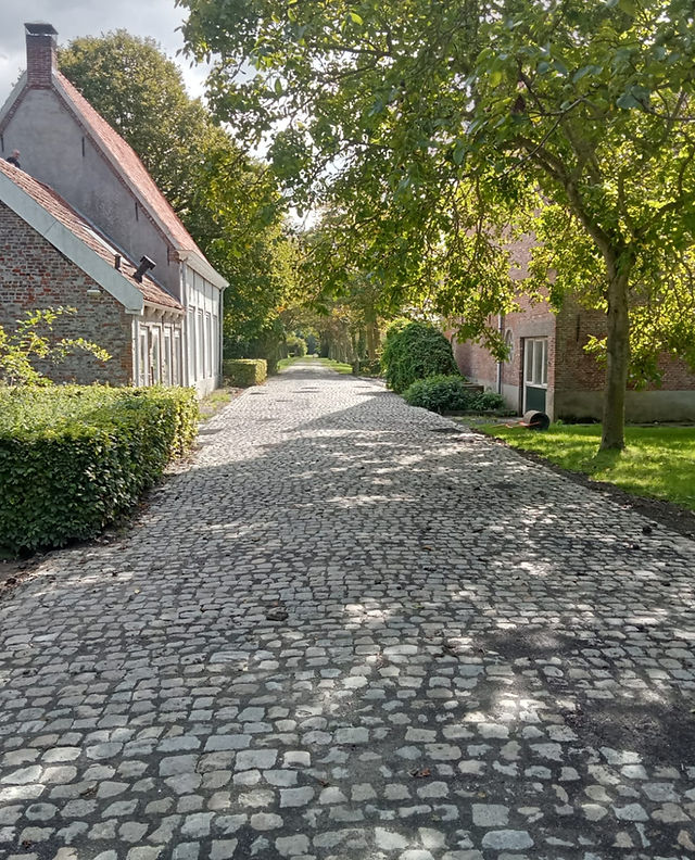 tuinaanleg zeeland