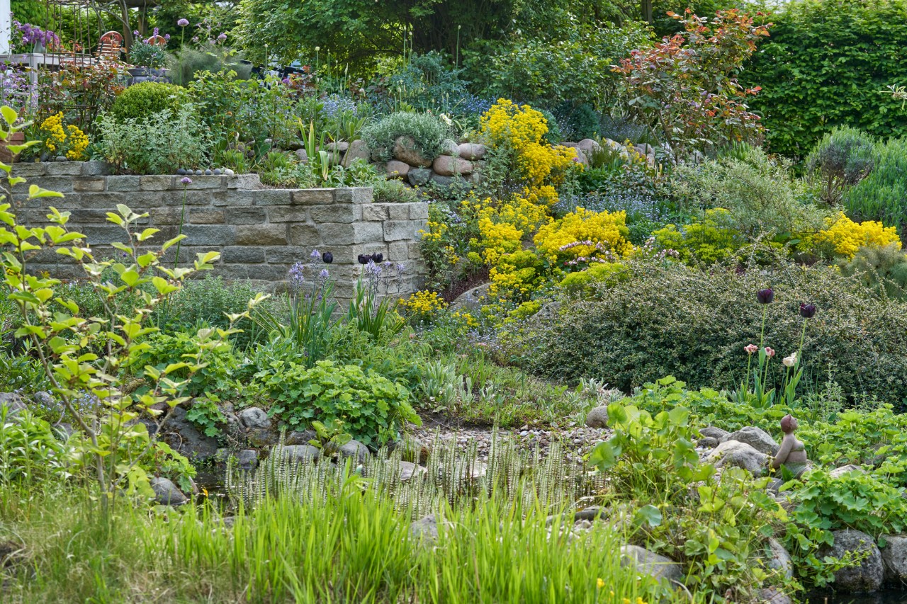 een wilde tuin aanleggen