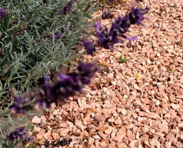 mediterrane tuin ontwerp
