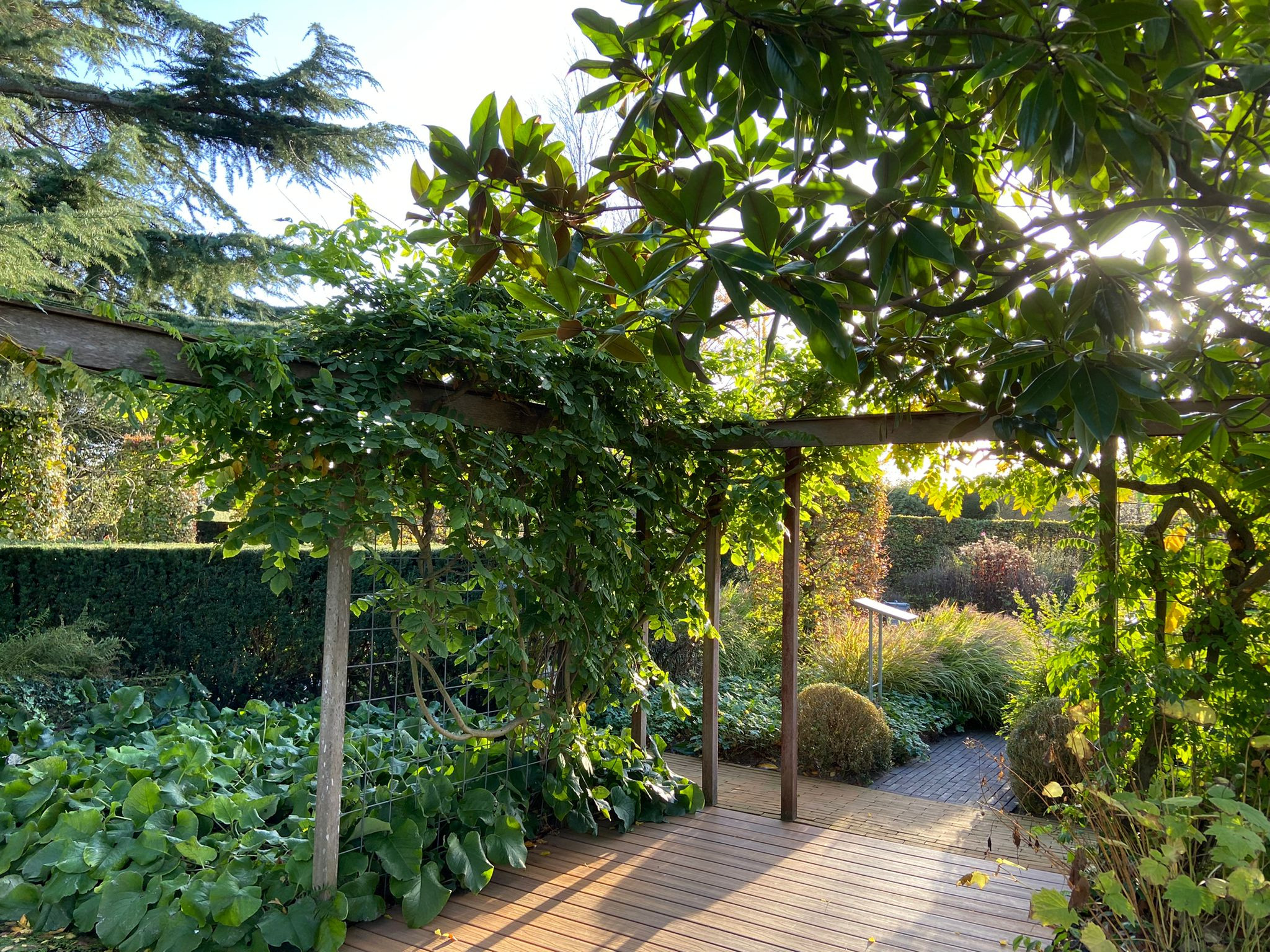 tuin ontwerp zelf maken